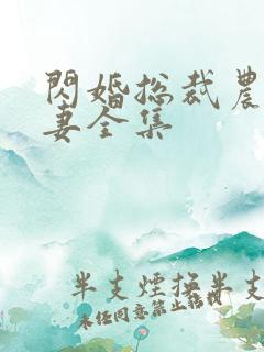 闪婚总裁农村娇妻全集