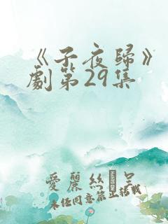 《子夜归》电视剧第29集