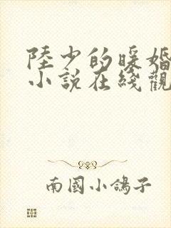 陆少的暖婚新妻小说在线观看