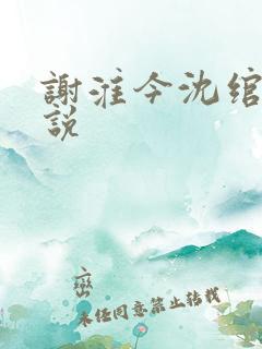 谢淮今沈绾宁小说