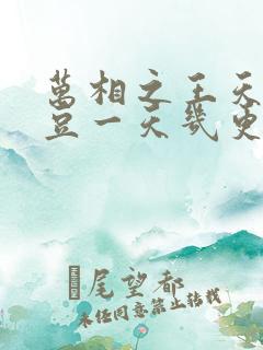万相之王天蚕土豆一天几更