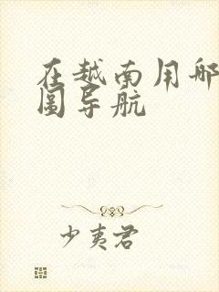 在越南用哪个地图导航