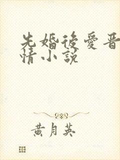 先婚后爱晋江言情小说