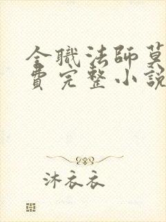 全职法师莫凡免费完整小说