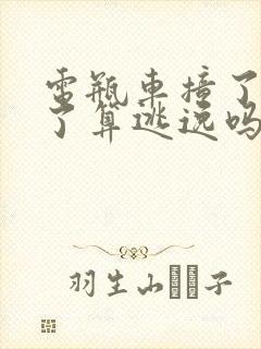 电瓶车撞了人跑了算逃逸吗