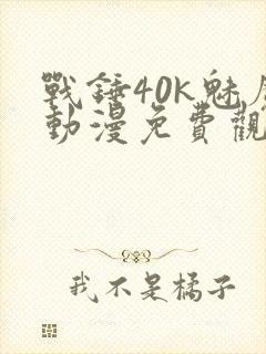 战锤40k魅魔动漫免费观看
