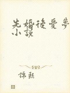 先婚后爱梦筱二小说