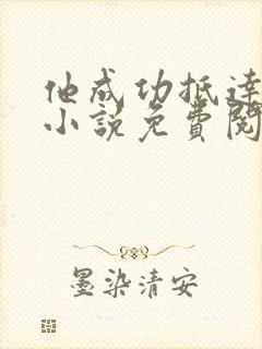 他成功抵达花心小说免费阅读全文