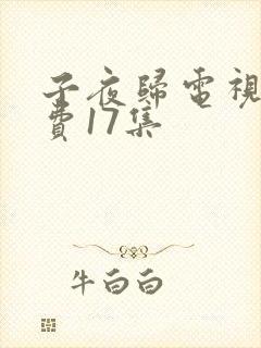 子夜归电视剧免费17集