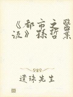 《都市之医武风流》孙哲叶巧朱颜