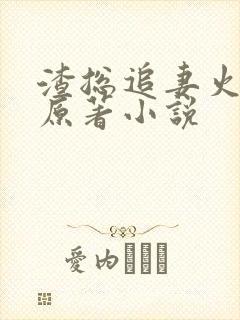渣总追妻火葬场原著小说