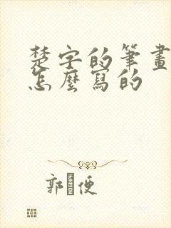 楚字的笔画顺序怎么写的