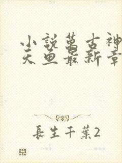 小说万古神帝飞天鱼最新章节列表最