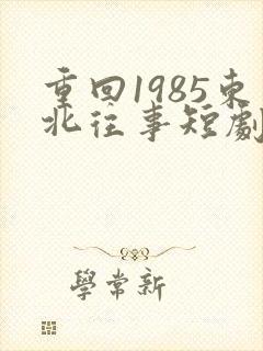 重回1985东北往事短剧免费观看