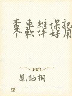 查车维保记录哪个软件好用