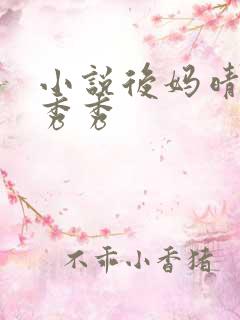 小说后妈晴姨李秀秀