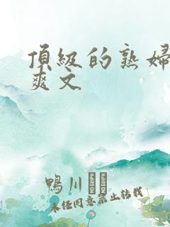 顶级的熟妇后宫爽文