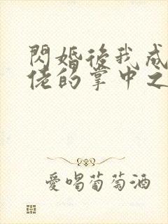 闪婚后我成了大佬的掌中之物28