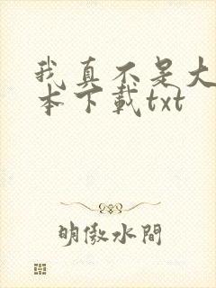 我真不是大佬全本下载txt