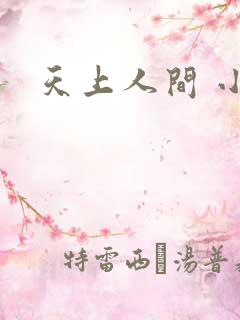 天上人间 小说