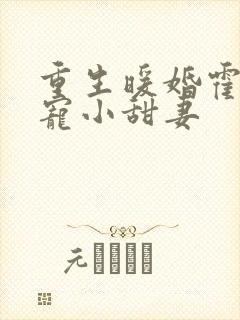 重生暖婚霍总狠宠小甜妻