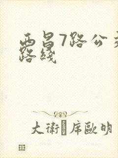 西昌7路公交车路线