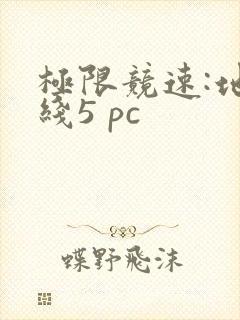 极限竞速:地平线5 pc