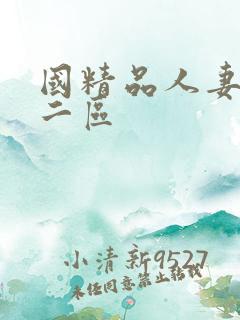 国精品人妻一区二区