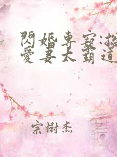 闪婚专宠:总裁爱妻太霸道
