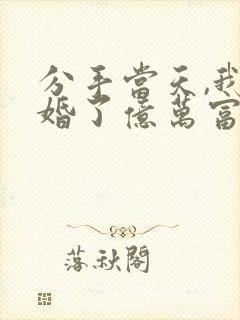 分手当天,我闪婚了亿万富豪小说版