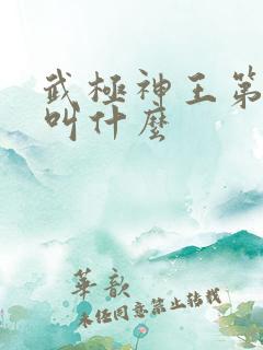 武极神王第二部叫什么