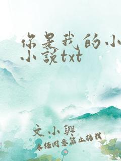 你是我的小确幸小说txt
