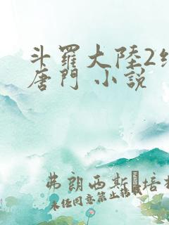 斗罗大陆2绝世唐门 小说