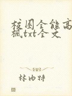校园全能高手季枫txt全文