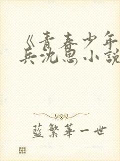 《青春少年》李兵沈思小说