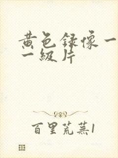 黄色录像一级片一级片