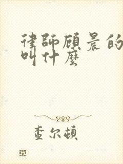 律师顾晨的小说叫什么