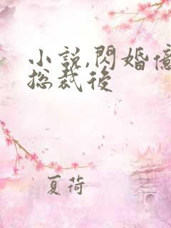 小说,闪婚亿万总裁后
