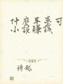 什么平台可以写小说赚钱