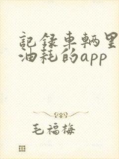 记录车辆里程和油耗的app