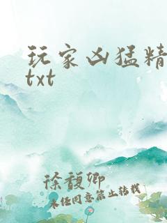 玩家凶猛精校版txt
