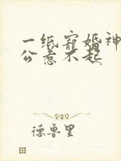 一纸宠婚神秘老公惹不起