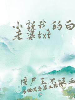 小说我的白富美老婆txt
