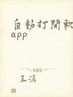 自动打开软件的app