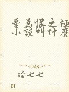 爱为恨之极原著小说叫什么名字