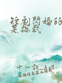 短剧闪婚的老公是总裁
