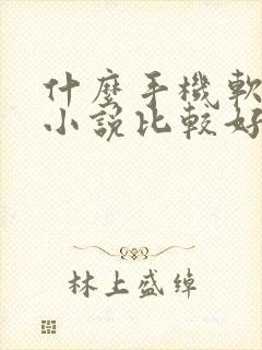 什么手机软件写小说比较好