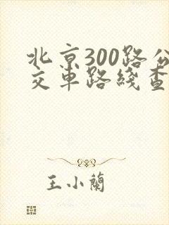 北京300路公交车路线查询