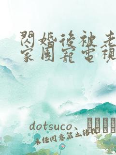 闪婚后被老公全家团宠电视剧完整版