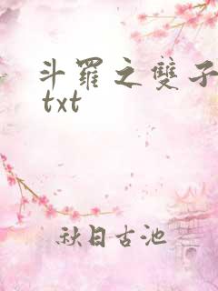 斗罗之双子斗罗 txt